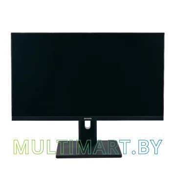 Монитор Aiwa MF240A